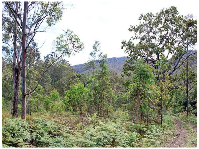Lot 13 Hut Road, BANDA BANDA, Kempsey NSW 2440