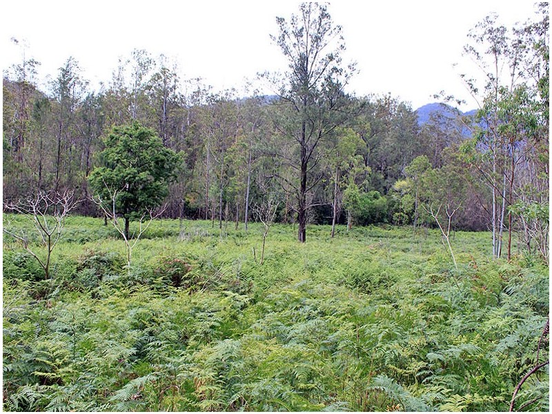 Lot 13 Hut Road, BANDA BANDA, Kempsey NSW 2440