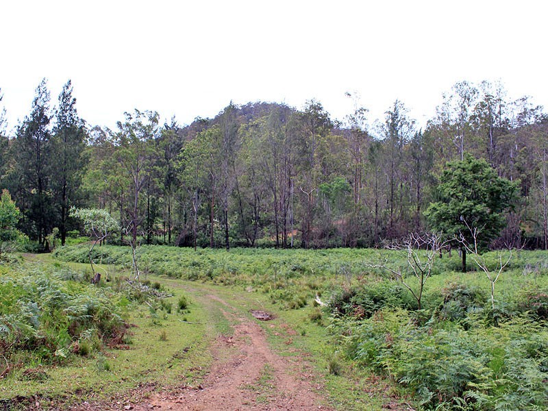 Lot 13 Hut Road, BANDA BANDA, Kempsey NSW 2440