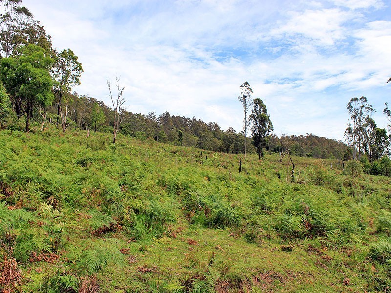 Lot 13 Hut Road, BANDA BANDA, Kempsey NSW 2440