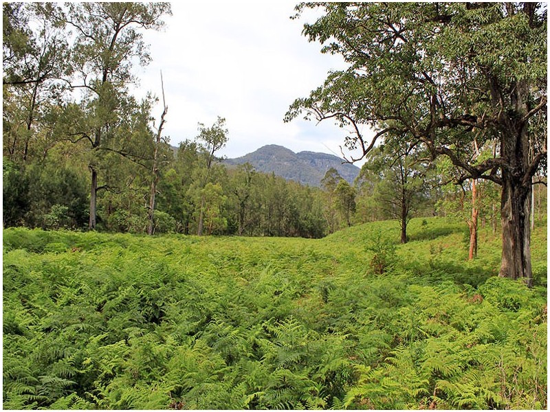 Lot 13 Hut Road, BANDA BANDA, Kempsey NSW 2440