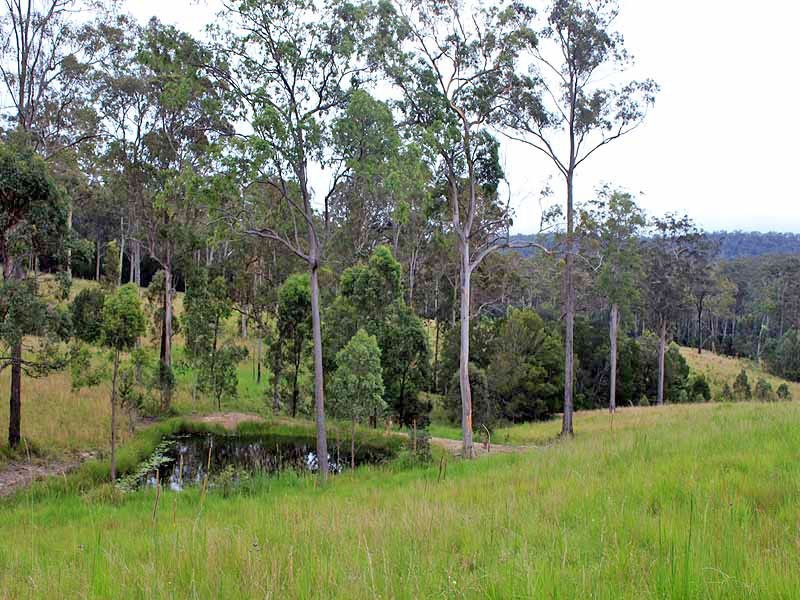 Lot 3 Old Coast Road, Kundabung NSW 2441