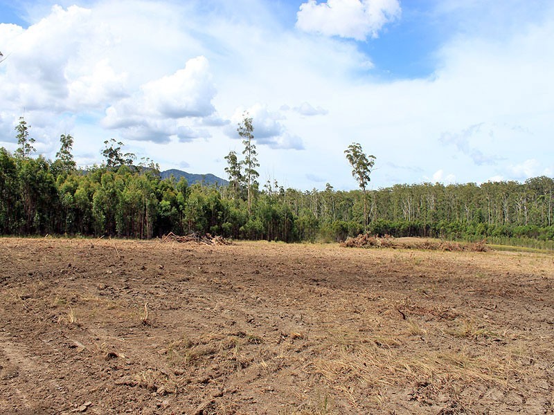 37 Barraganyatti Hut Road, Barraganyatti NSW 2441