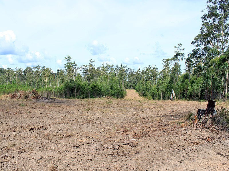 37 Barraganyatti Hut Road, Barraganyatti NSW 2441