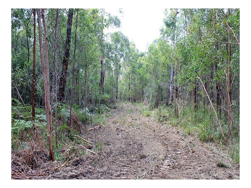 37 Barraganyatti Hut Road, Barraganyatti NSW 2441