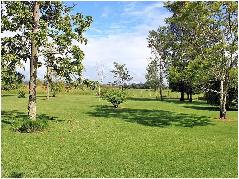 286 Left Bank Road, Kinchela NSW 2440