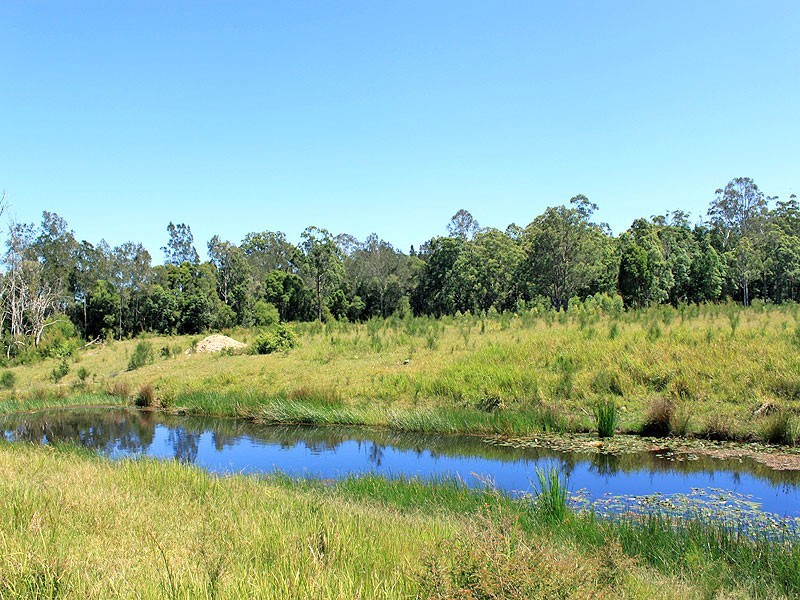 Collombatti NSW 2440