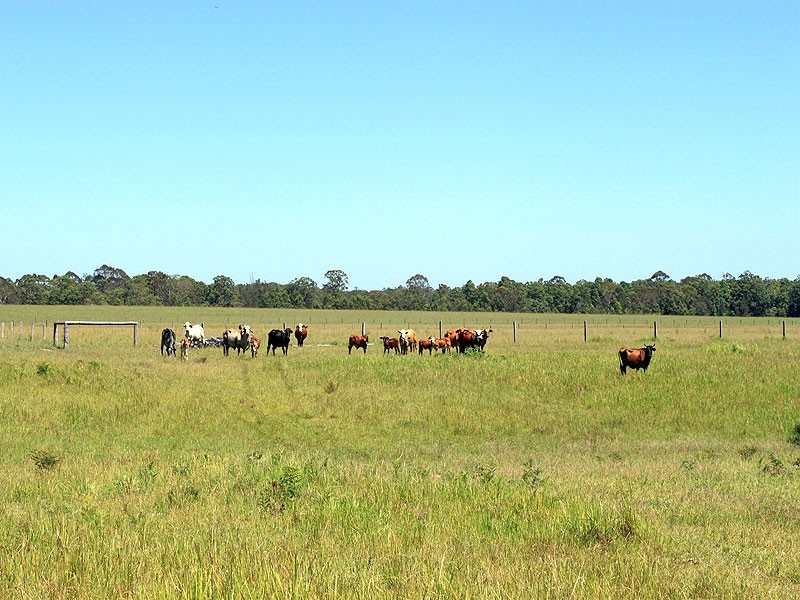 Collombatti NSW 2440