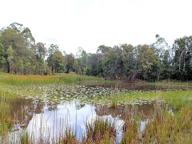 504 Salesyard Road, Collombatti, via, Kempsey NSW 2440