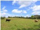 Turners Flat NSW 2440