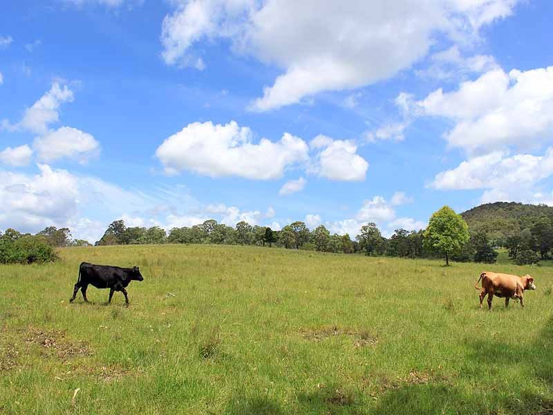 Turners Flat NSW 2440
