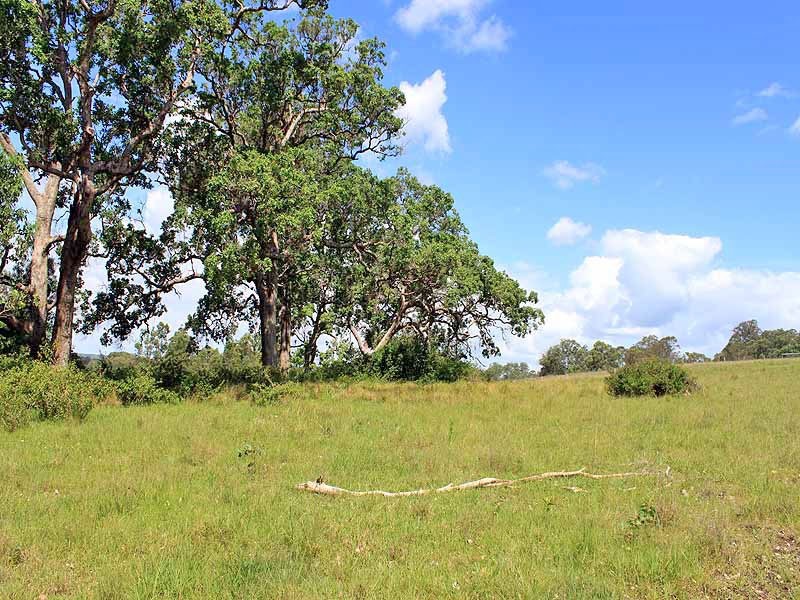 Turners Flat NSW 2440
