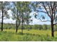 Turners Flat NSW 2440
