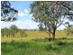 Turners Flat NSW 2440