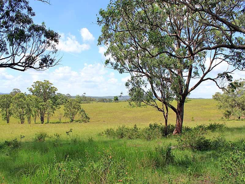 Turners Flat NSW 2440