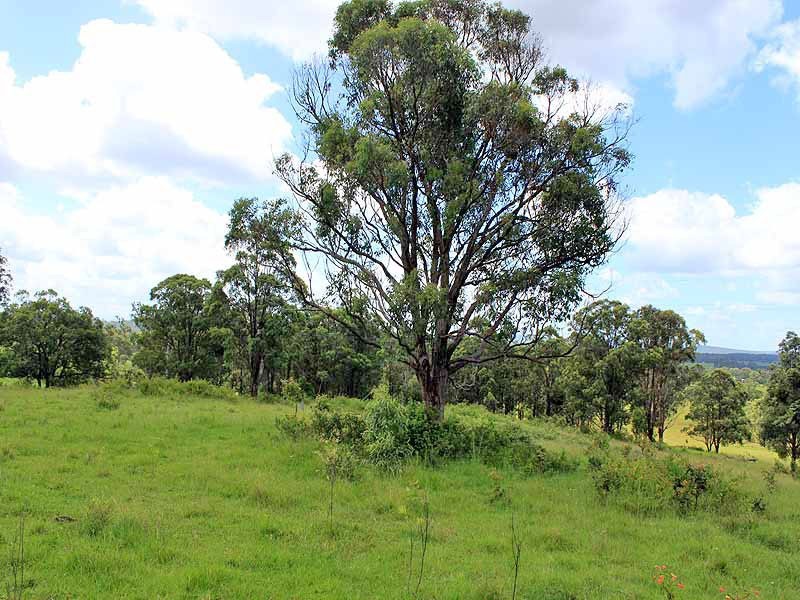 Turners Flat NSW 2440