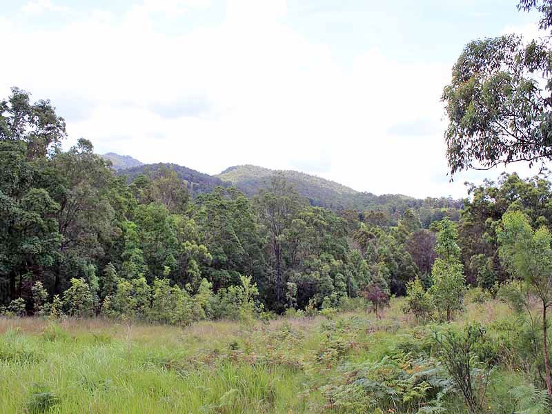 Turners Flat NSW 2440