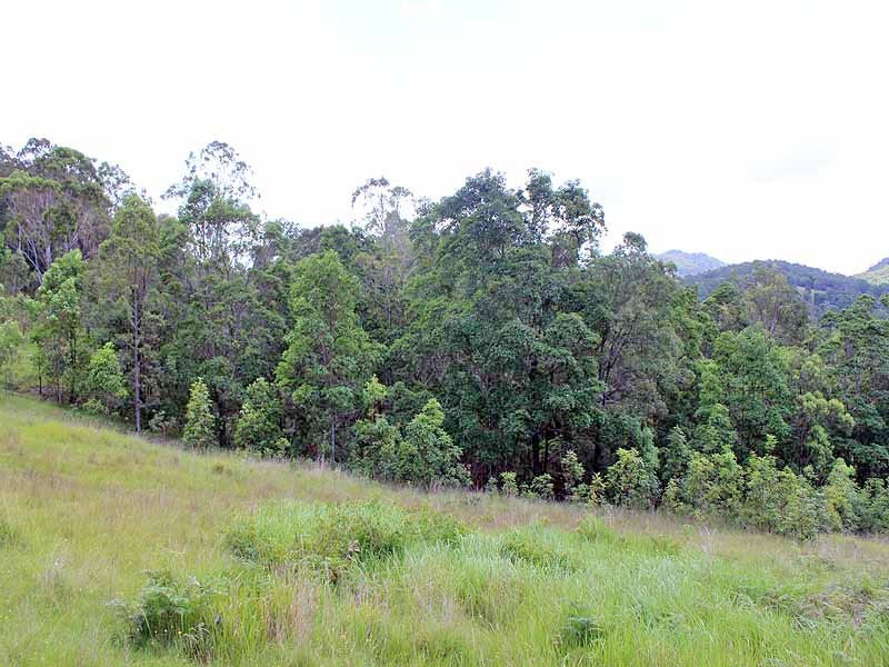 Turners Flat NSW 2440