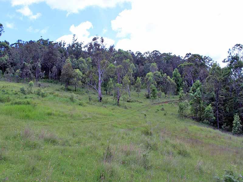 Turners Flat NSW 2440