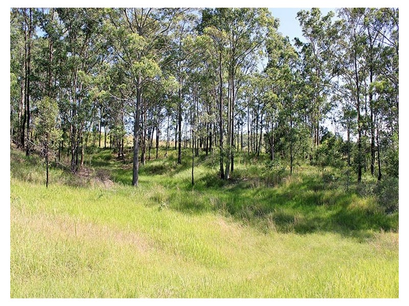 936 Willi Willi Road, Turners Flat NSW 2440