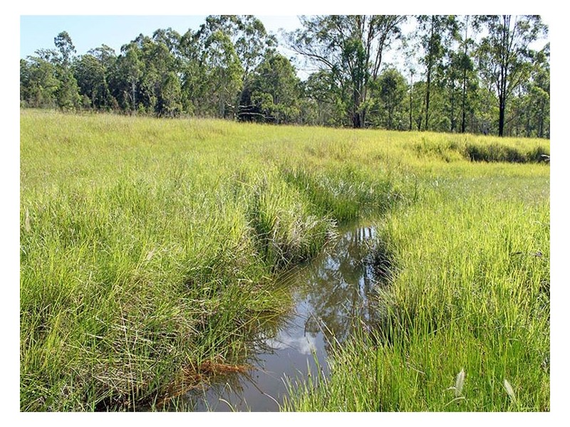 936 Willi Willi Road, Turners Flat NSW 2440