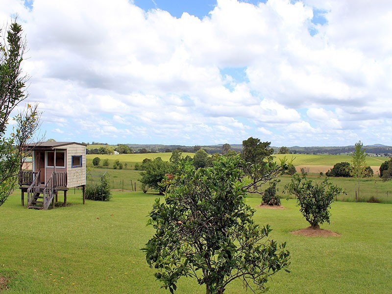 5 Warne Drive, Aldavilla NSW 2440