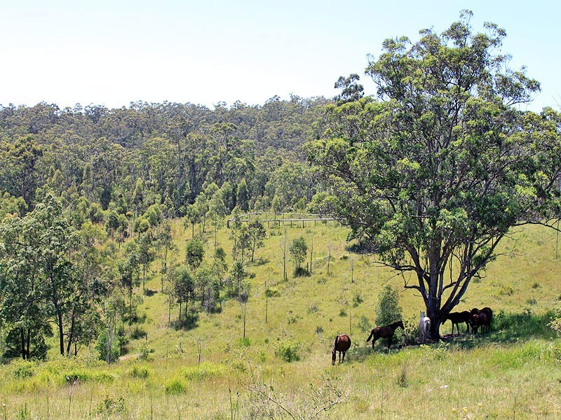 1912 Willi Willi Road,, Moparrabah NSW 2440