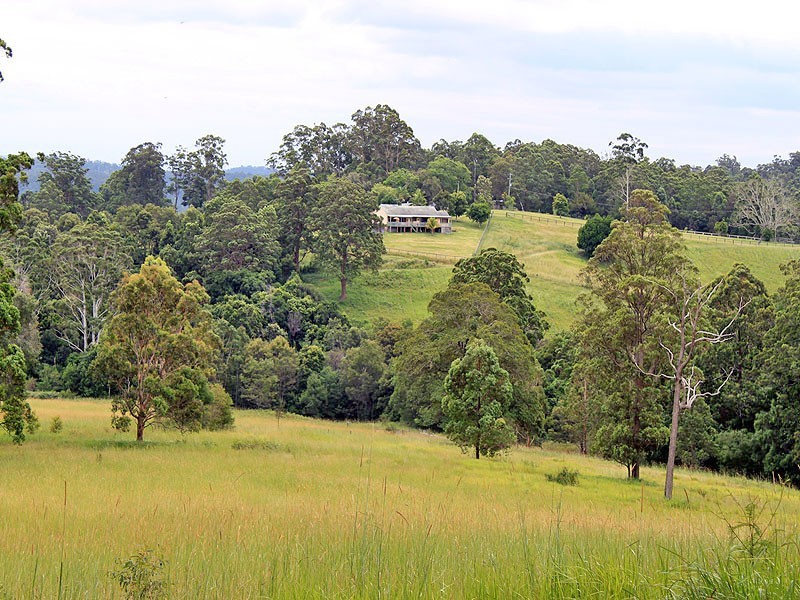 63 Dures Lane, Tamban NSW 2441