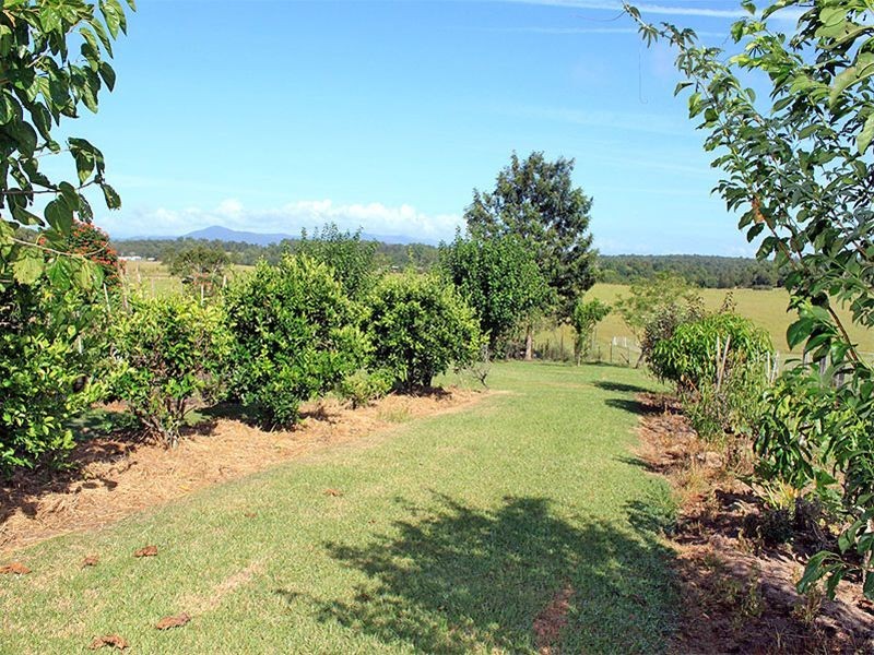 8a Campbell Place, Aldavilla NSW 2440