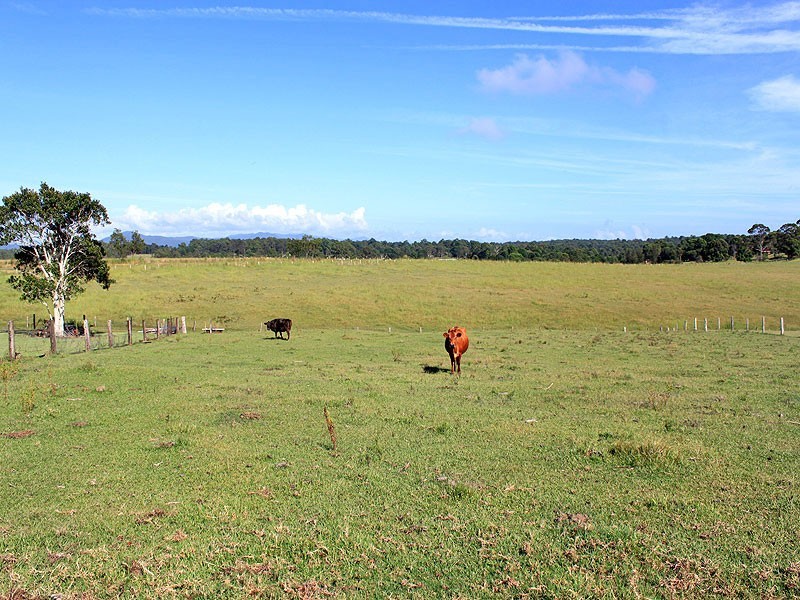 8a Campbell Place, Aldavilla NSW 2440