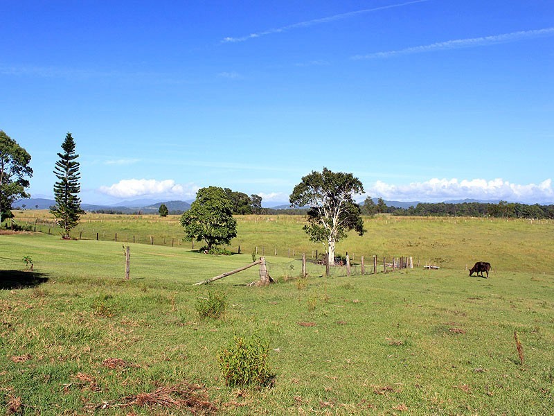 8a Campbell Place, Aldavilla NSW 2440