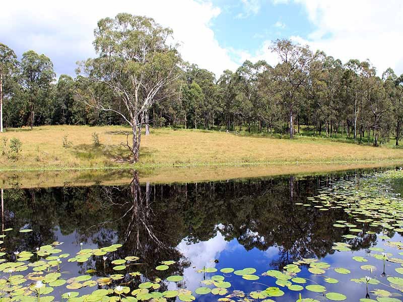 162 Mooneba Road, Mooneba NSW 2440