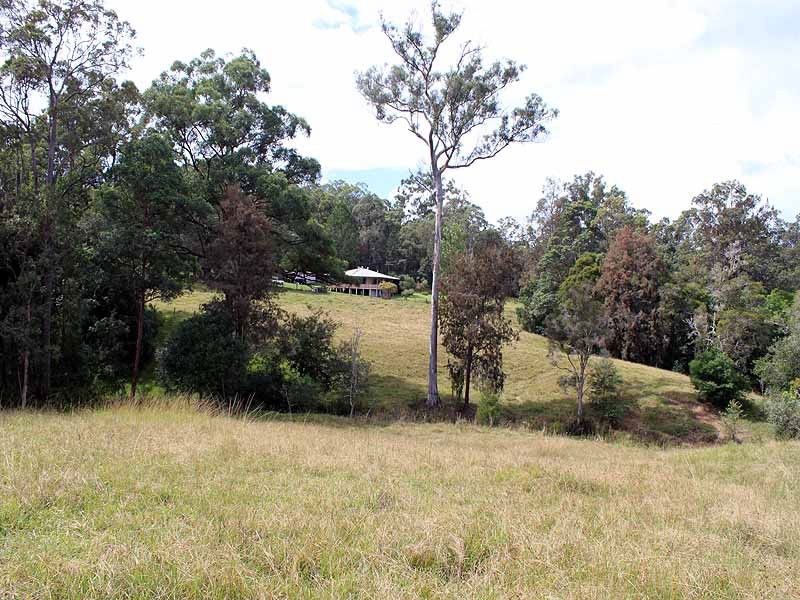 162 Mooneba Road, Mooneba NSW 2440