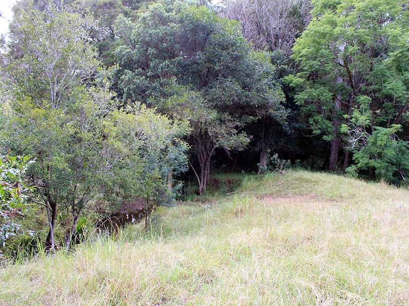 162 Mooneba Road, Mooneba NSW 2440