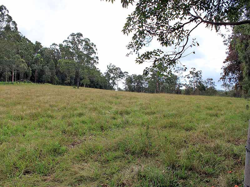 162 Mooneba Road, Mooneba NSW 2440