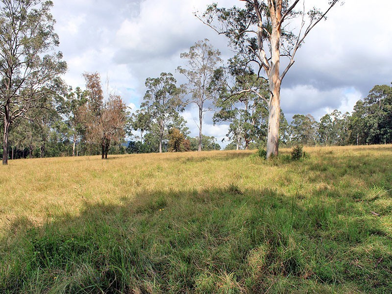 162 Mooneba Road, Mooneba NSW 2440