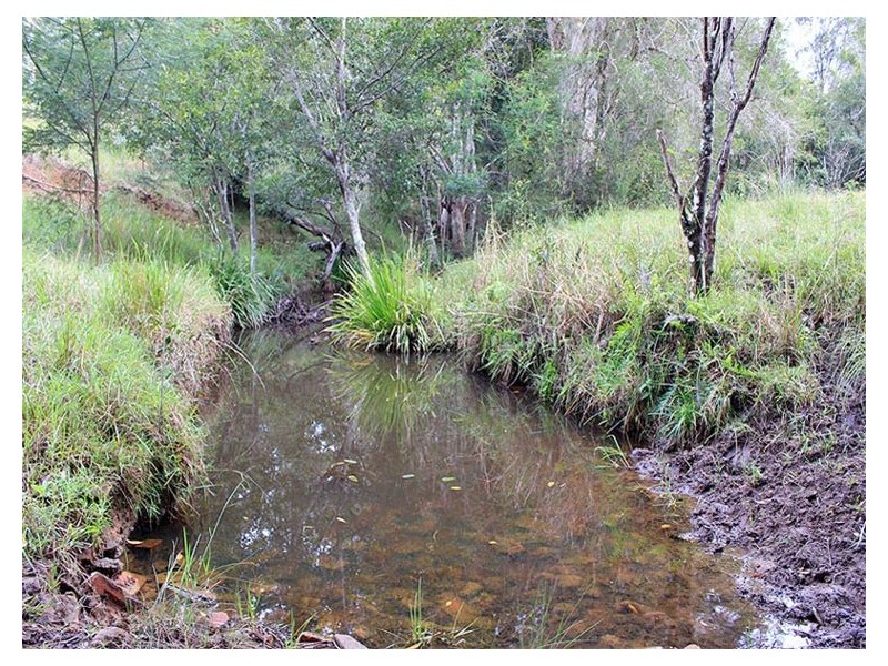 162 Mooneba Road, Mooneba NSW 2440