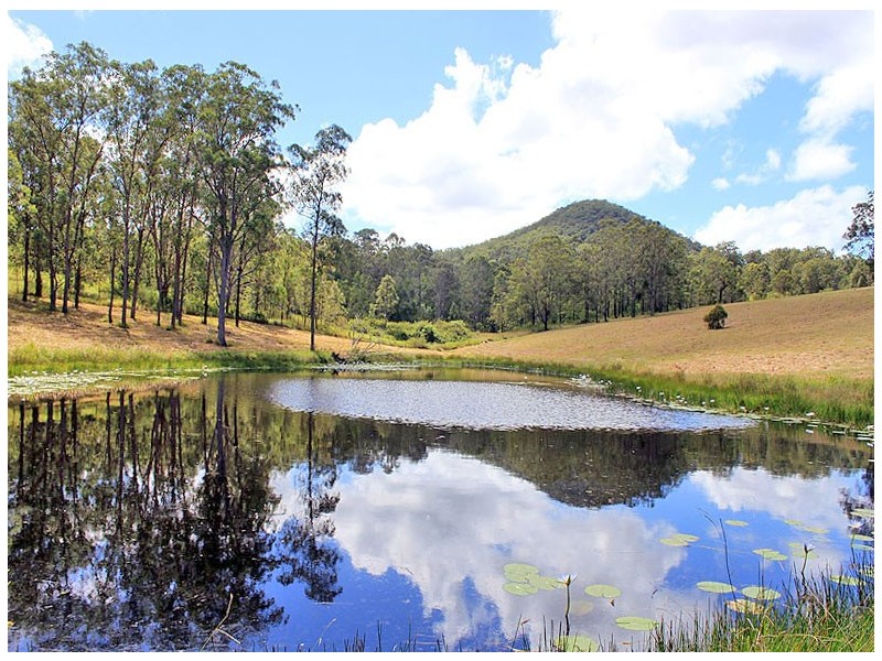 Lot 8 Toms Gully Road, Hickeys Creek NSW 2440