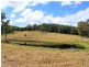 Lot 8 Toms Gully Road, Hickeys Creek NSW 2440