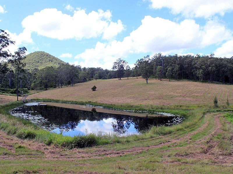 Lot 8 Toms Gully Road, Hickeys Creek NSW 2440