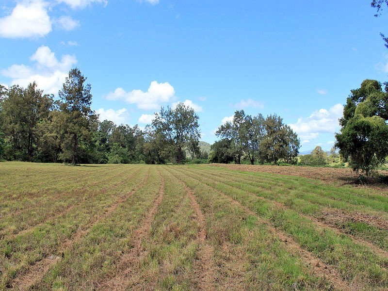 Lot 8 Toms Gully Road, Hickeys Creek NSW 2440