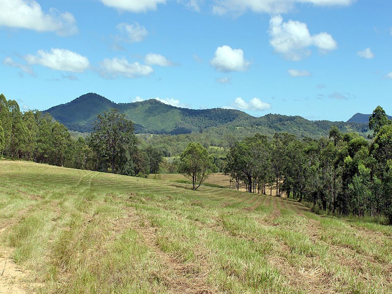 Lot 8 Toms Gully Road, Hickeys Creek NSW 2440