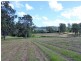 Lot 8 Toms Gully Road, Hickeys Creek NSW 2440