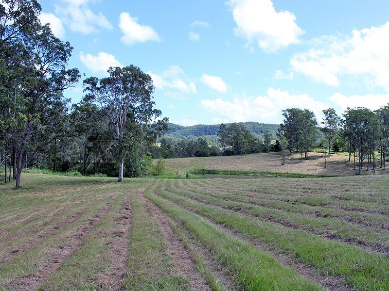 Lot 8 Toms Gully Road, Hickeys Creek NSW 2440