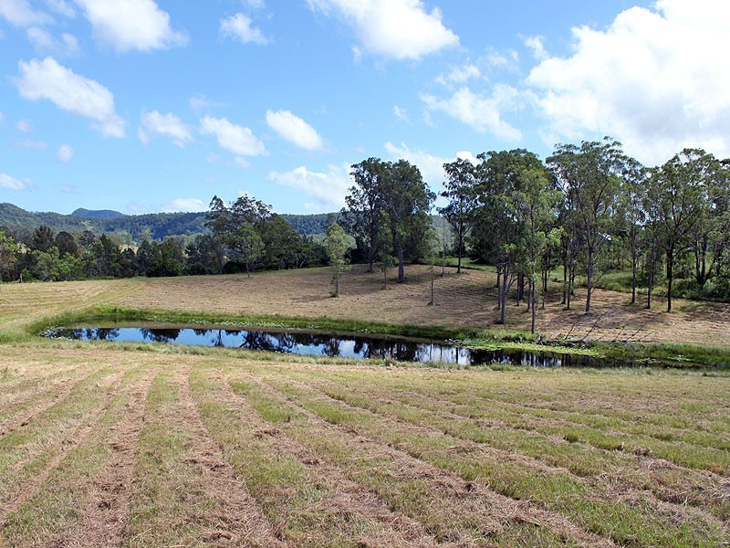 Lot 8 Toms Gully Road, Hickeys Creek NSW 2440