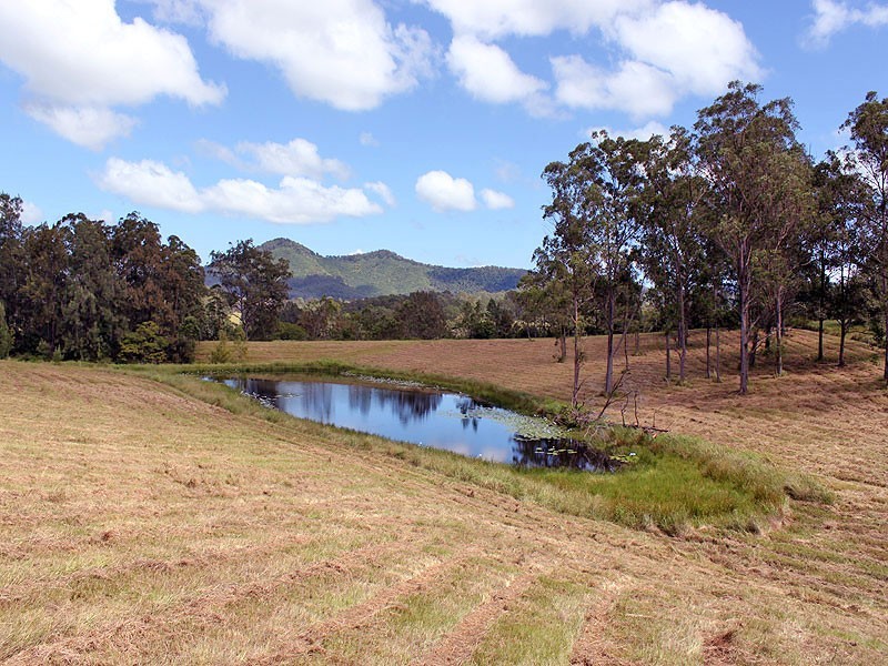 Lot 8 Toms Gully Road, Hickeys Creek NSW 2440