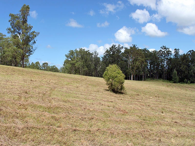 Lot 8 Toms Gully Road, Hickeys Creek NSW 2440