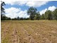 Lot 8 Toms Gully Road, Hickeys Creek NSW 2440