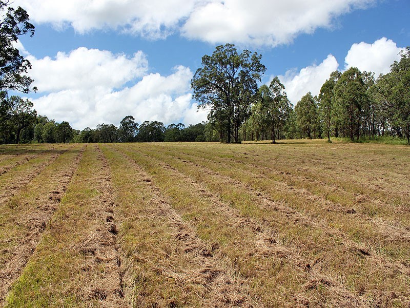 Lot 8 Toms Gully Road, Hickeys Creek NSW 2440