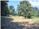 Lot 8 Toms Gully Road, Hickeys Creek NSW 2440